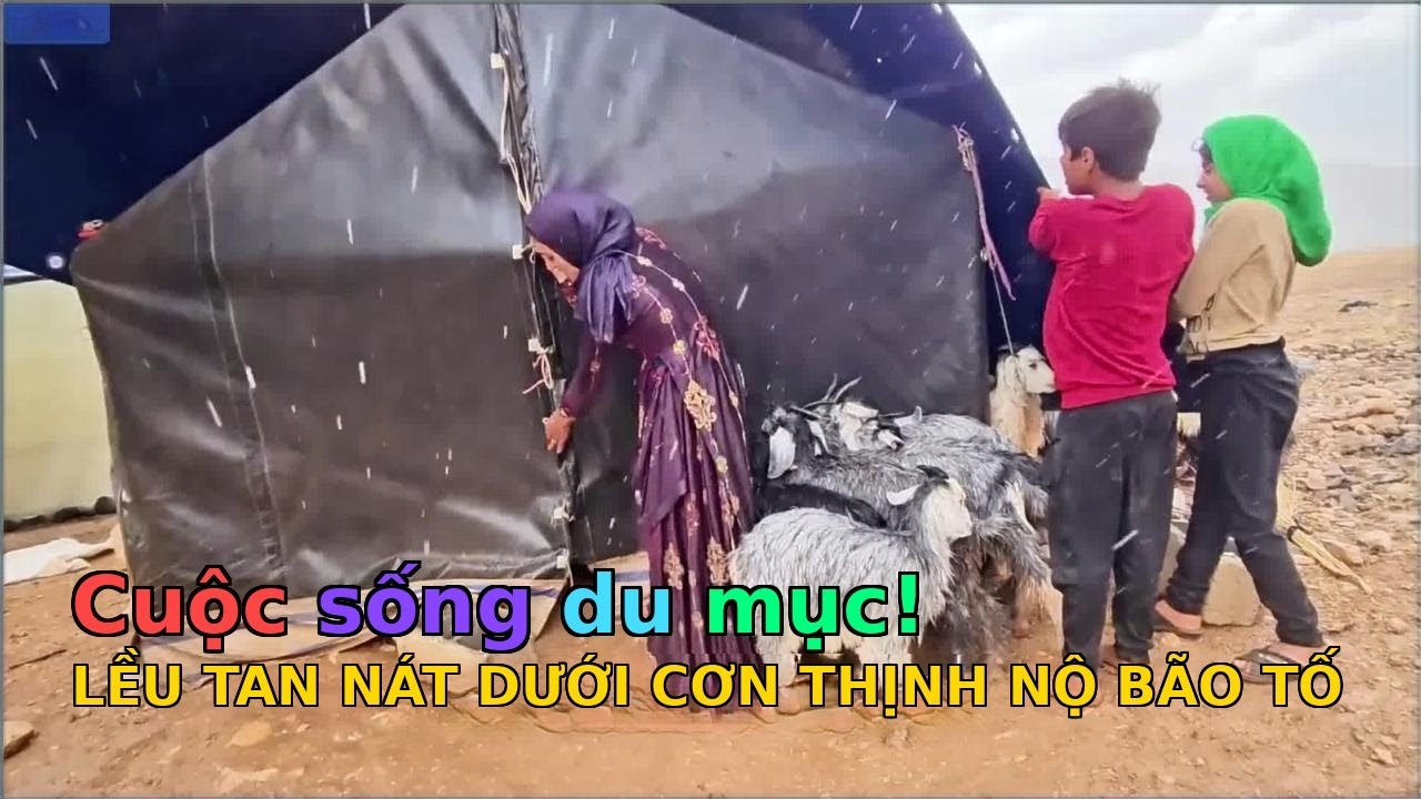 Cuộc sống của hamid và mẹ đỡ đầu của anh ấy - TẬP 543 - 564: Bão tố ập đến: Cảnh tượng kinh hoàng tr