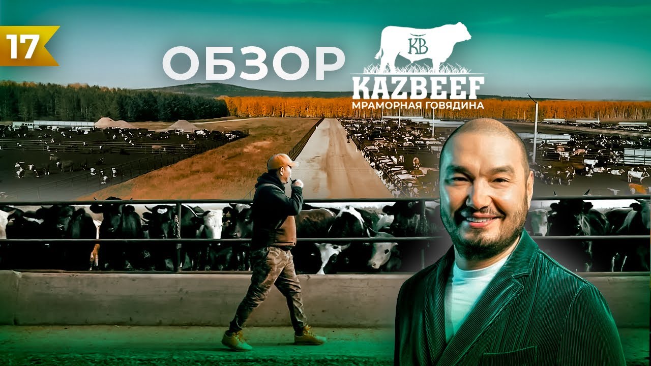 Обзор откорм площадки, репродуктора и мясокомбината KazBeef