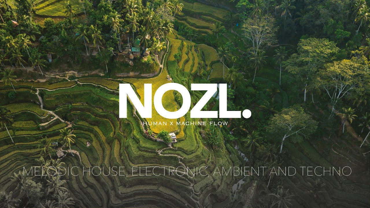 Nozl - You Are the One I'm Thinking Of | Melodic Deep House Mix | Emotional Vibes