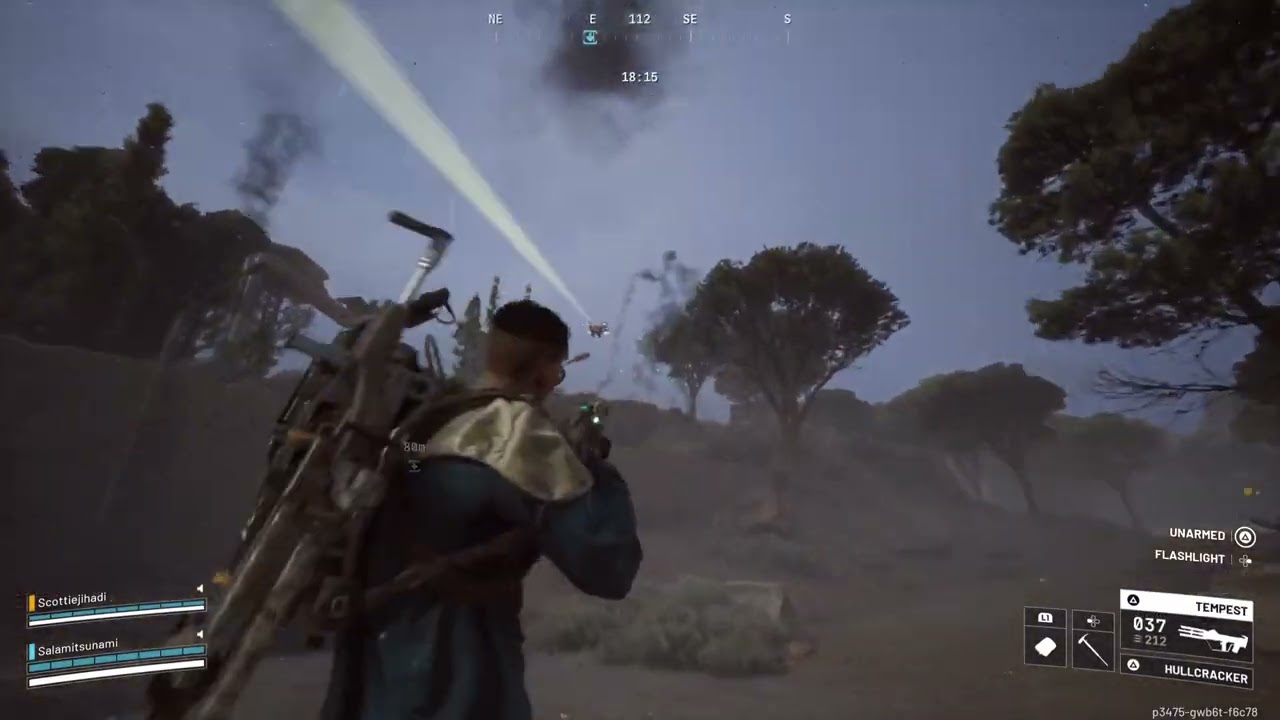 Damn hornet