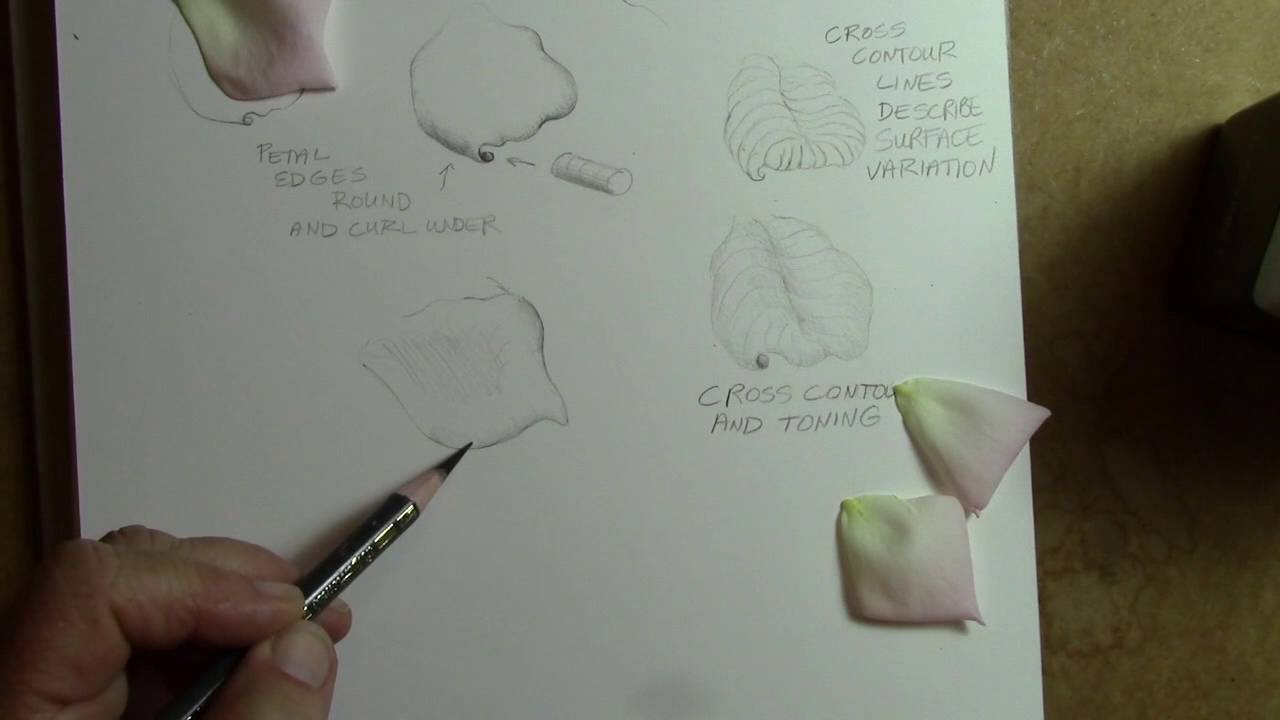 Rolling petals,sensitive line and feathering practice