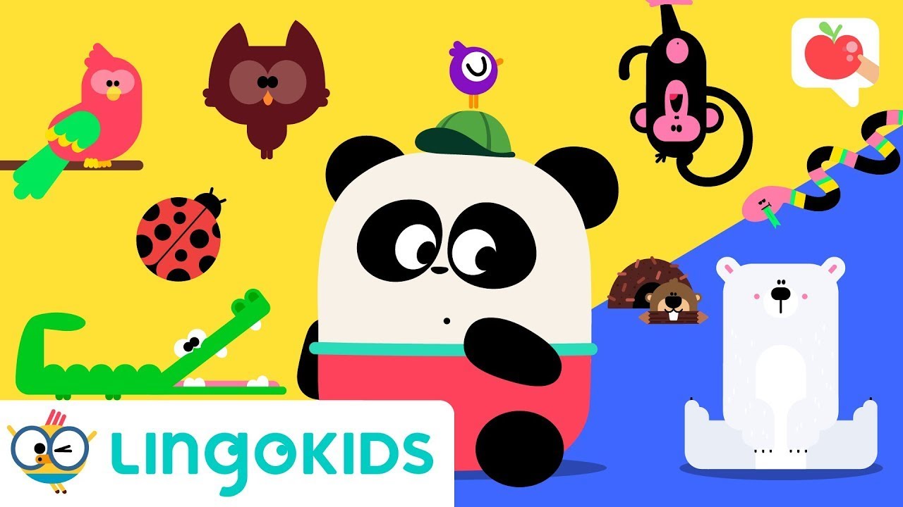 ANIMALS FOR KIDS 🌍🦁🦜🐬 | VOCABULARY, SONGS and GAMES | Lingokids