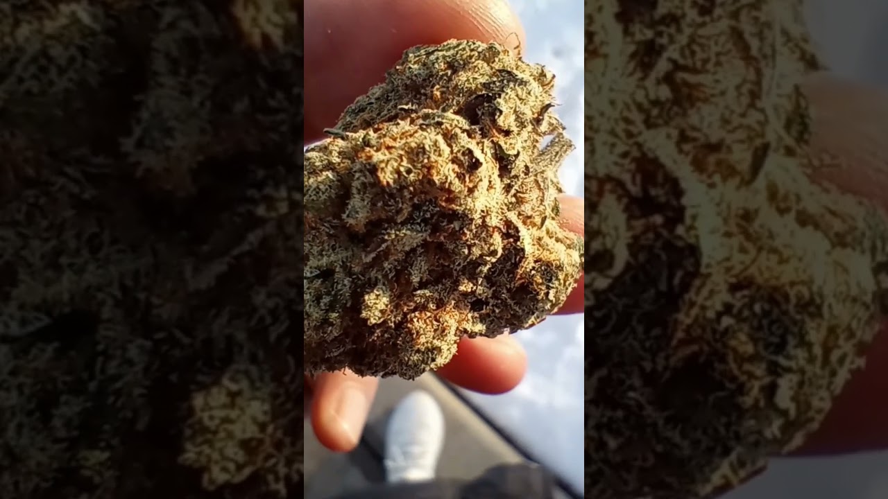 Crystal Runtz CBG Flower