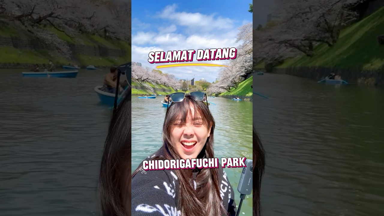 Surga nyaa jepang disini 🥰 #bungasakura #chidorigafuchi #musimsemi #jepangvlog