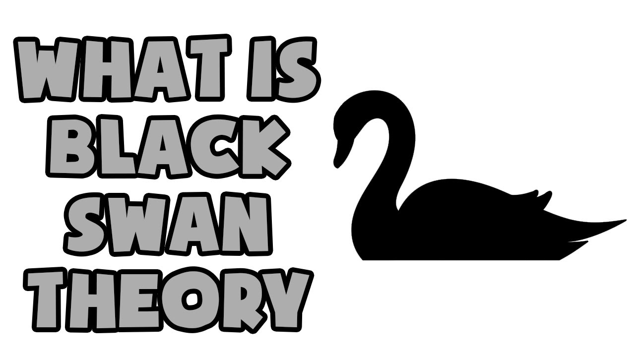 What is Black Swan Theory | Explained in 2 min