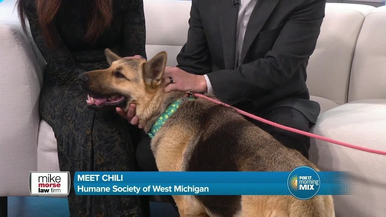 Friday's Friend: Chili (sponsored)