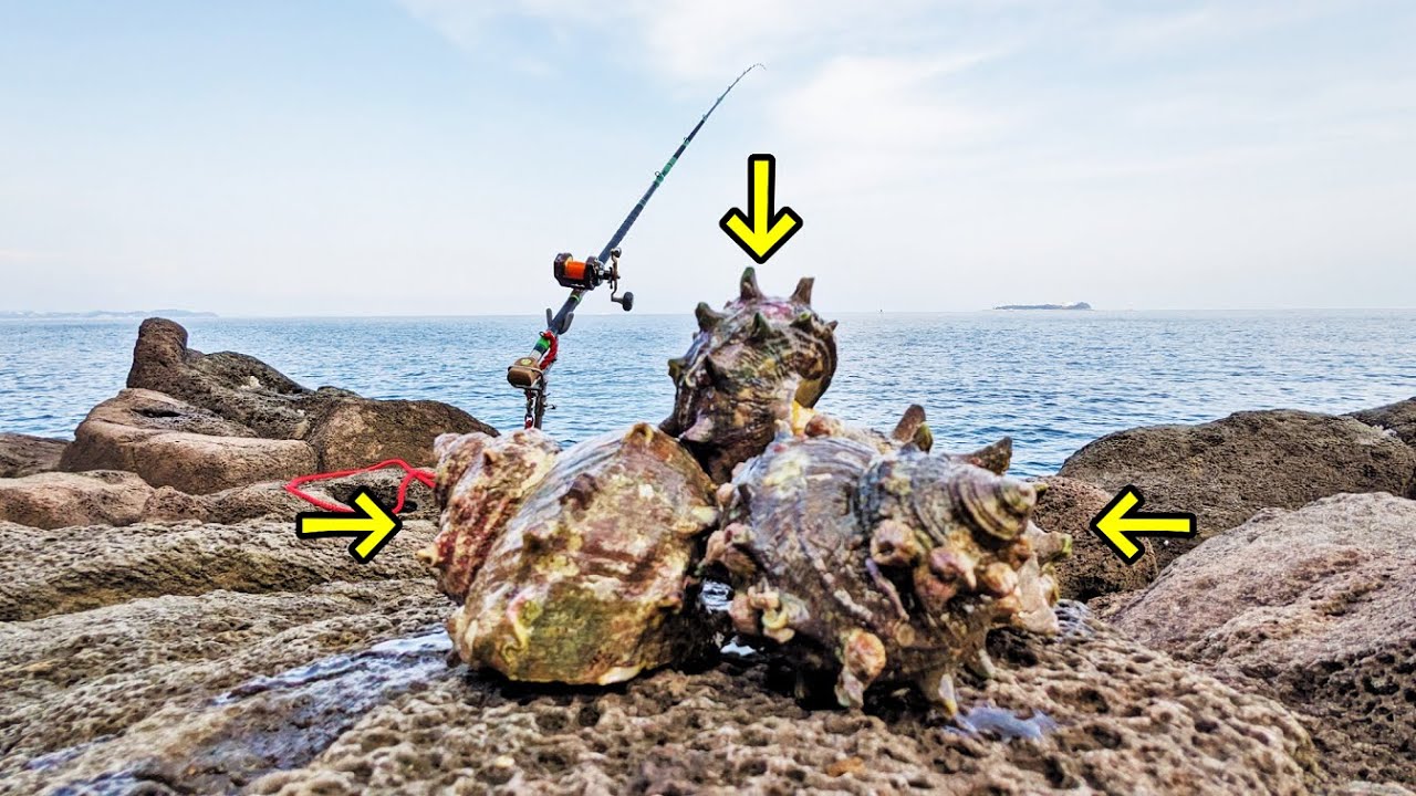 【石鯛釣り】【春磯】ジャングルを抜けた荒磯で幻の魚を追ってみたら想定外の結末に唖然…（124）