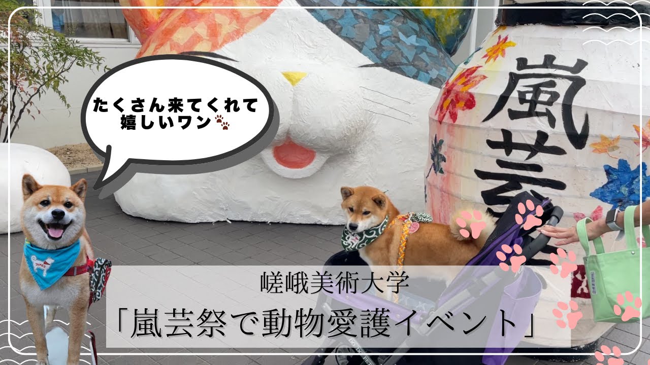 嵯峨美術大学で動物愛護イベントだワン！！🐾～Shiba inu james by kyoto～ #嵐山の柴犬ジェームス #柴犬 #dog