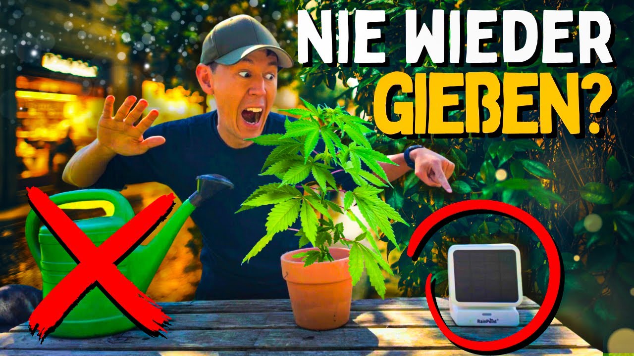Automatische Bewässerung und nie wieder GIEßEN 😱 Für Indoor Garten Gewächshaus und Co. mit RainPoint