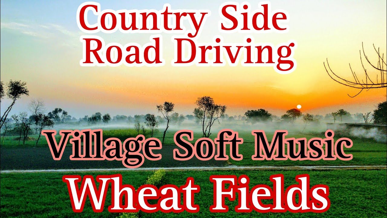 countryside road driving| village song status| soft music for relaxation| village music| wheat field