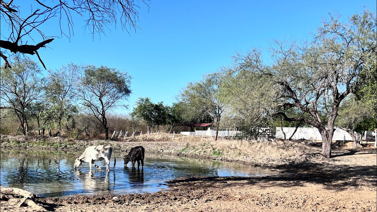 Visitamos la casa del rancho para decorar  un evento 🎊🏠🤠🐄