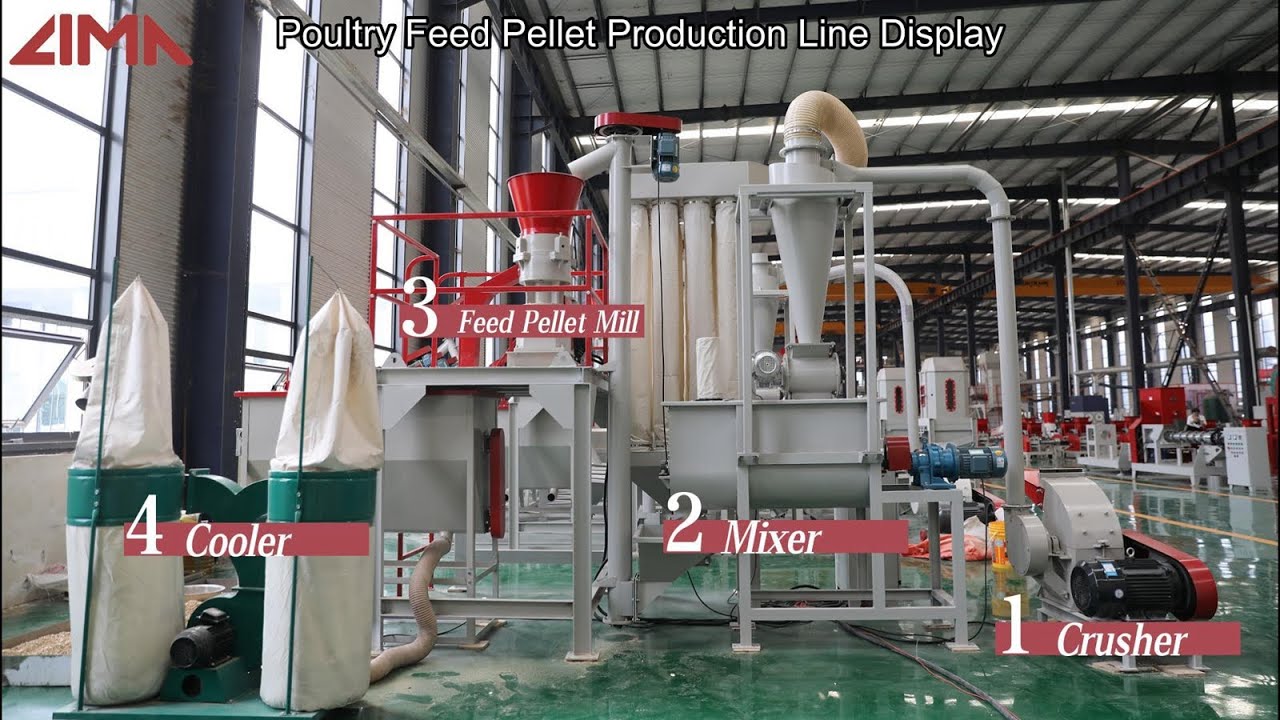 Poultry Feed Pellet Production Line: See How Chicken Feed Is Made!