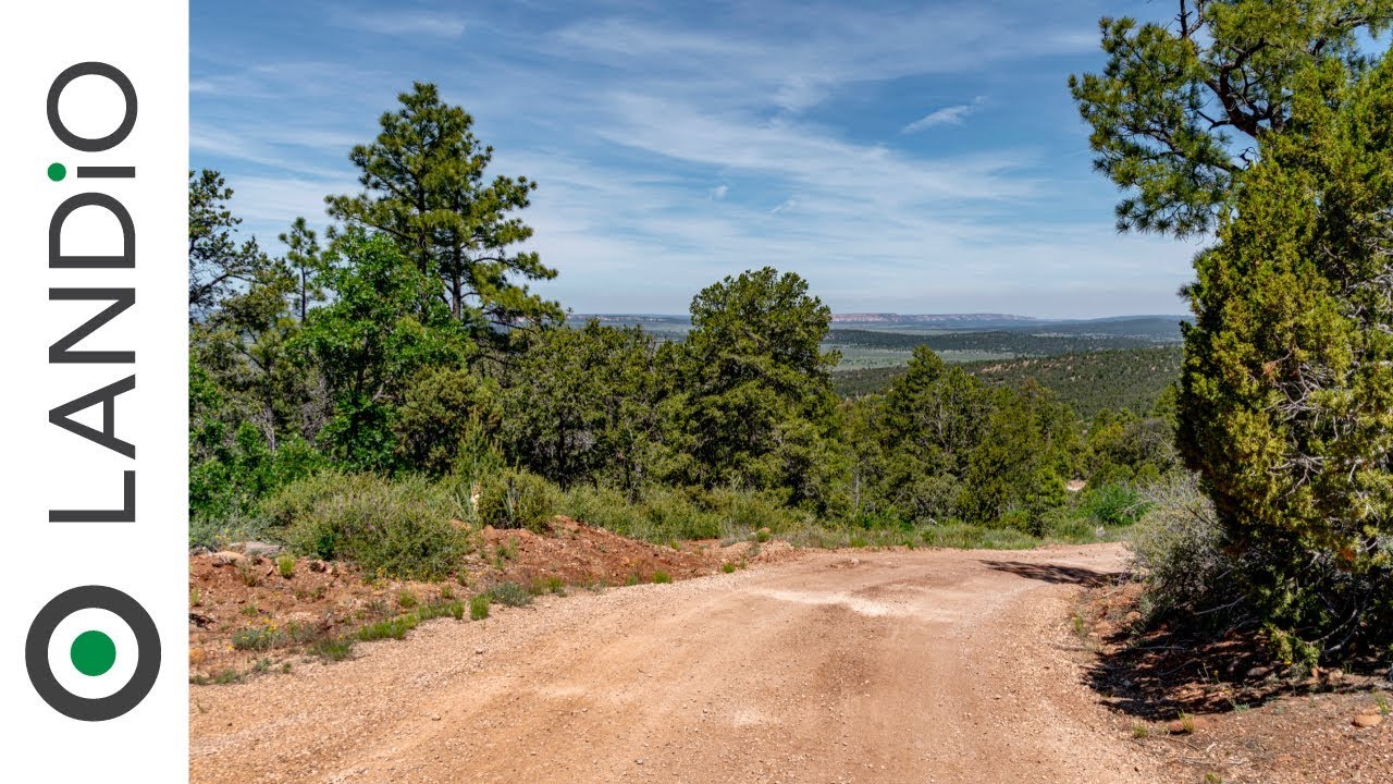 SOLD by LANDiO • Land in New Mexico • 20 Wooded Mountain Acres