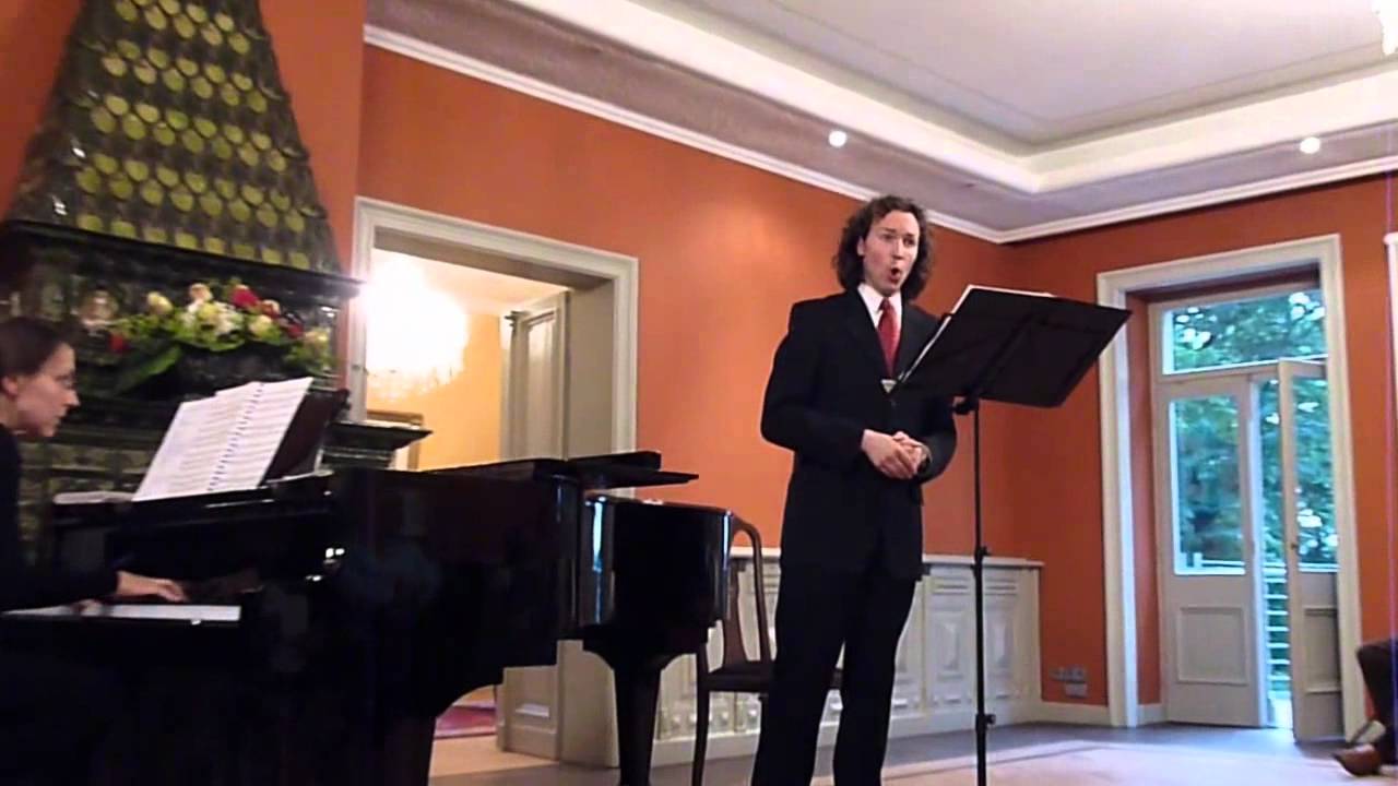 Clara Schumann: Sie liebten sich beide, Stephan Heinemann u. Konstanze Hollitzer