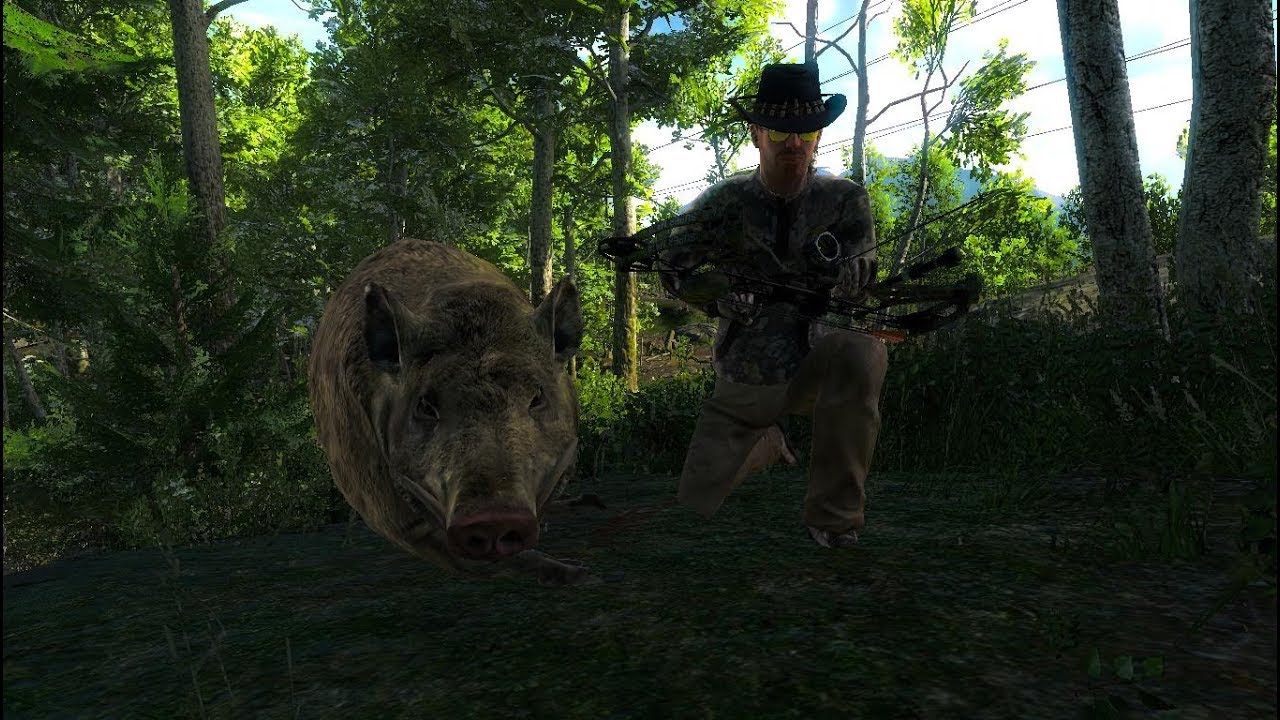 The Hunter Classic: Loggers Point. Bobcats & 1000+ Feral Hog