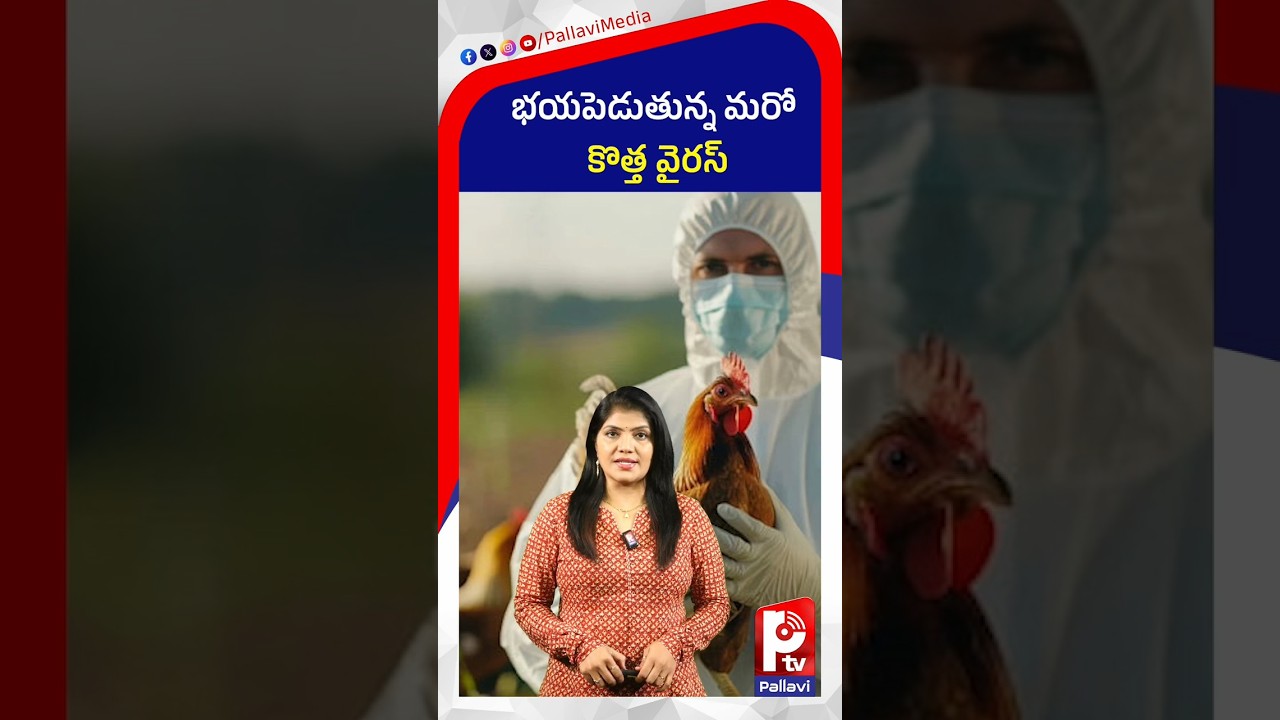భయపెడుతున్న మరో కొత్త వైరస్​ | New Global Threat? Scientists Warn About Mutating H5 Bird Flu Virus
