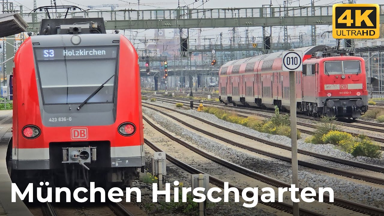München Hirschgarten - 25.10.2024: Herbststimmung und Zugverkehr