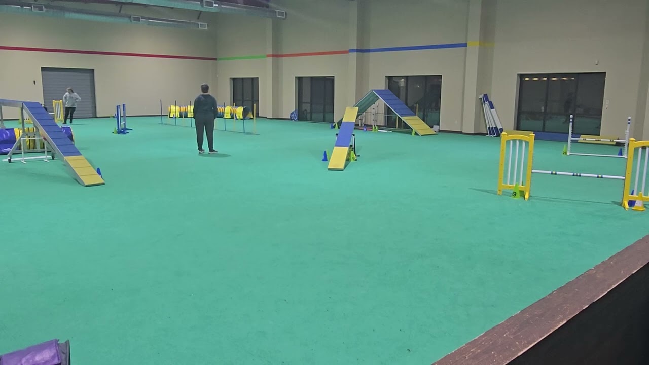 Nessie training runs 1-29-26