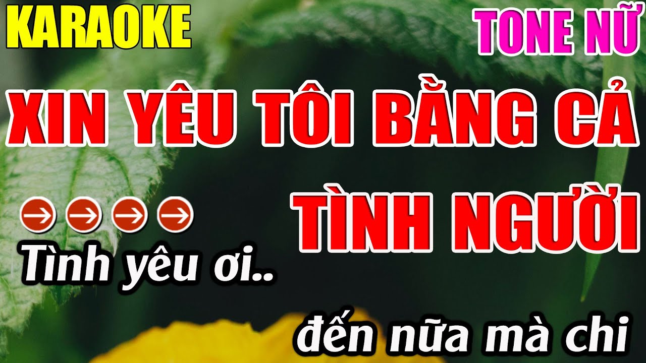 Xin Yêu Tôi Bằng Cả Tình Người Karaoke Tone Nữ Karaoke Lâm Nhạc Sống - Beat Mới