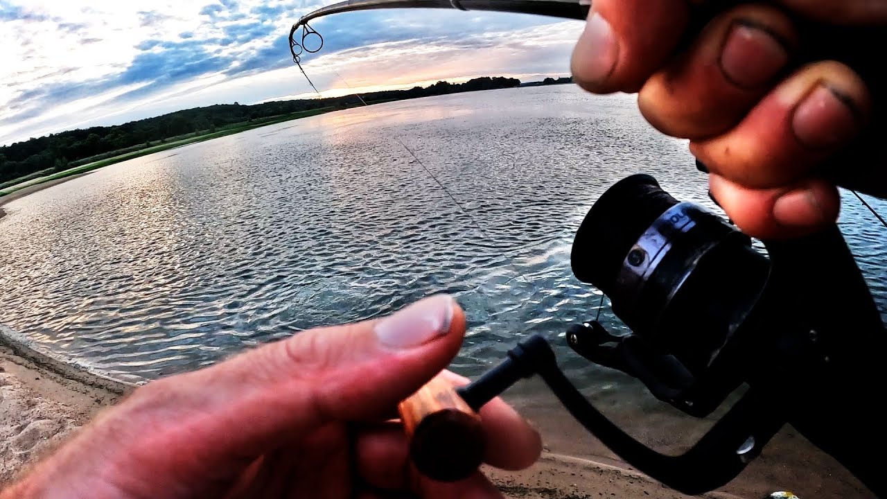 Jacht op een Bucketlist-Vis (Meervallen & Karperen @Loire)