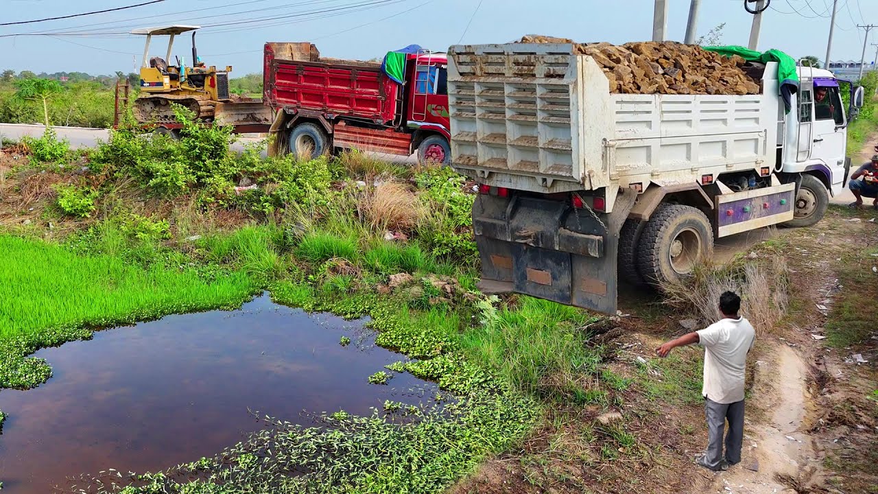 O.M.G! BE WATCHFUL! New Landfill Site Using Dozer Push Soil with Dump Truck 5T Unload into Flooded