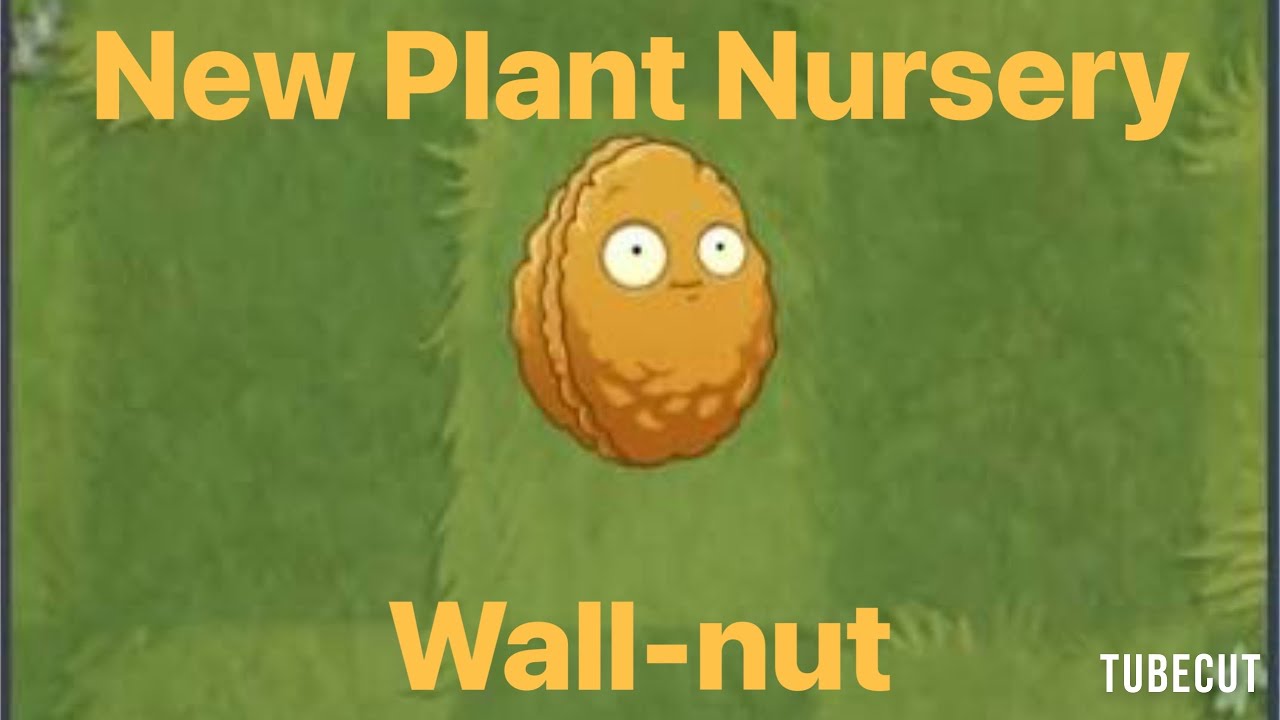 Wall-nut New Plant Nursery | Plants vs Zombies 2