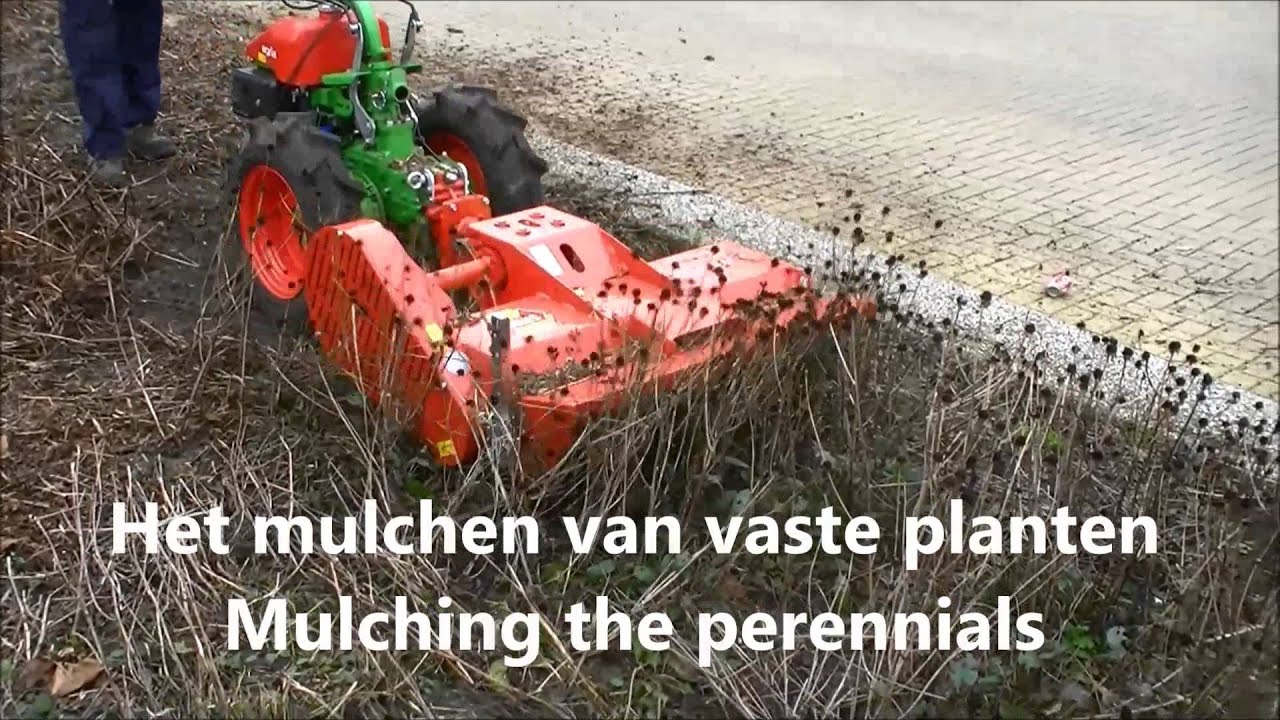 Lubbe Lisse - Mulchen van vaste planten/Mulching of perennials