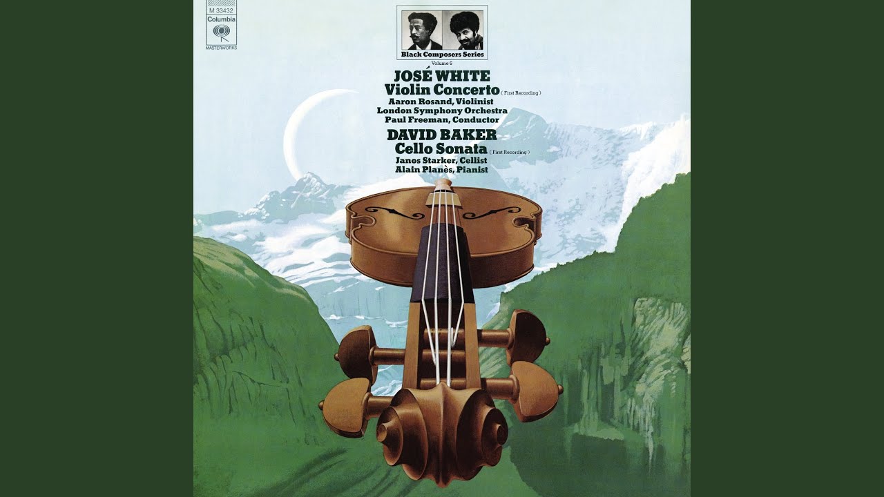 Concerto for Violin and Orchestra: II. Adagio ma non troppo