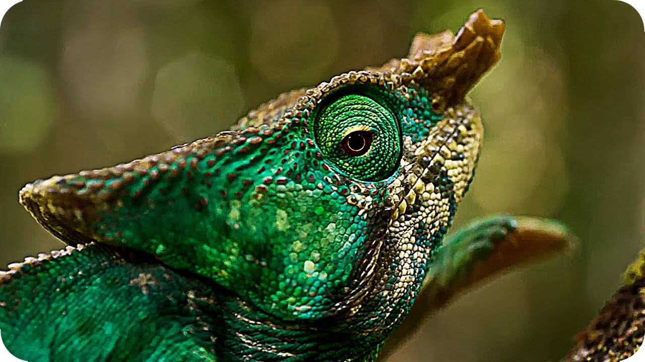 BBC PLANET EARTH 2 Trailer (2017) BBC Nature Documentary Series