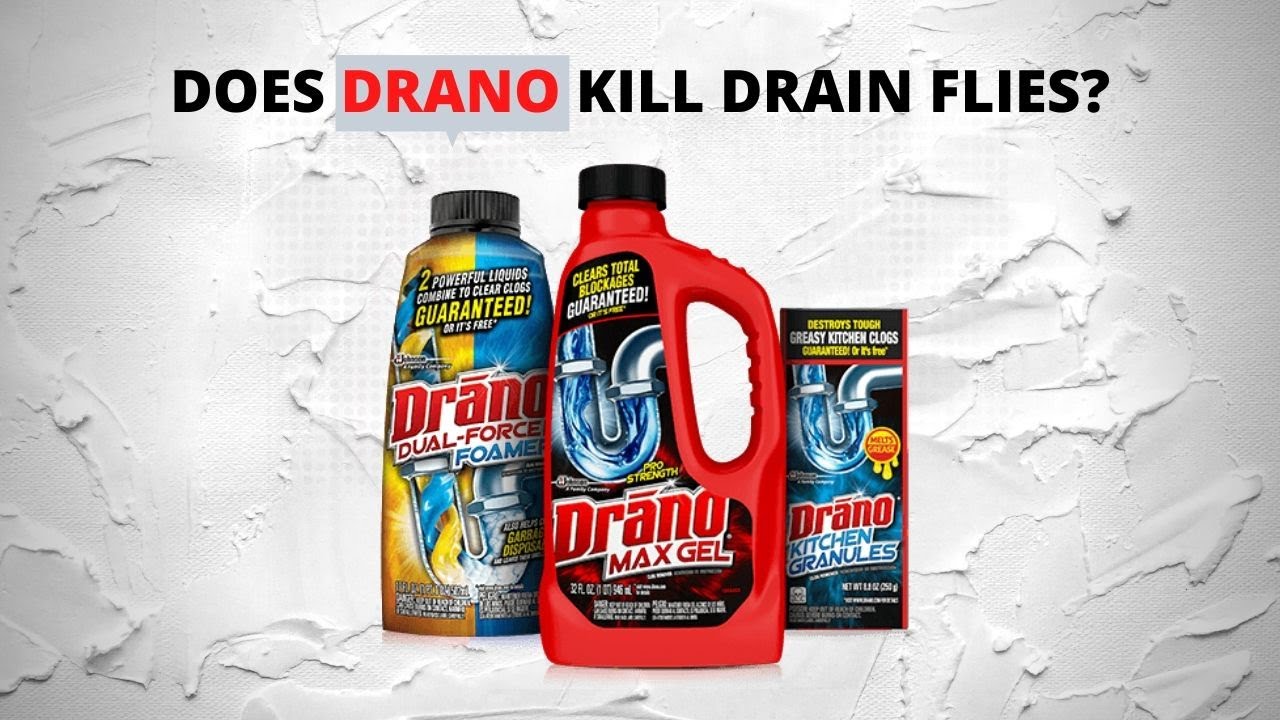Will Drano Kill Drain Flies? Stop Those Pests!