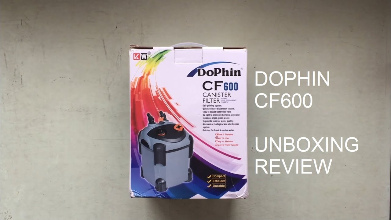 Dophin CF600 Unboxing & Simple Review