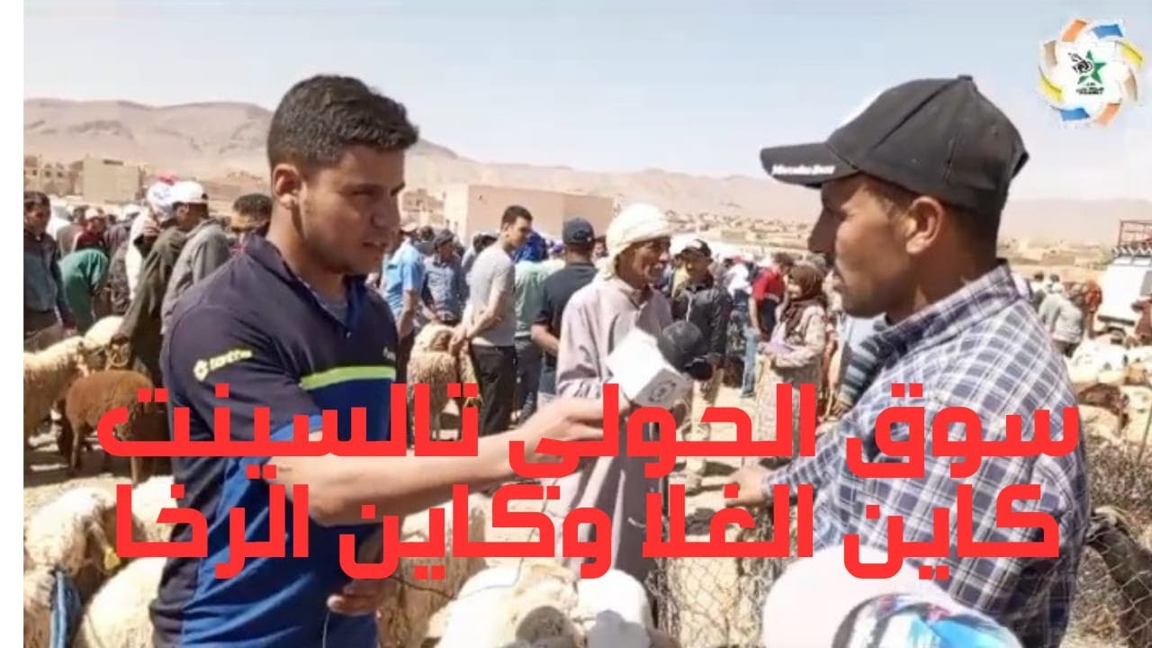 10 juin 2024أثمان الحولي ف آخر سوق نواحي تالسينت قبل العيد الكبير