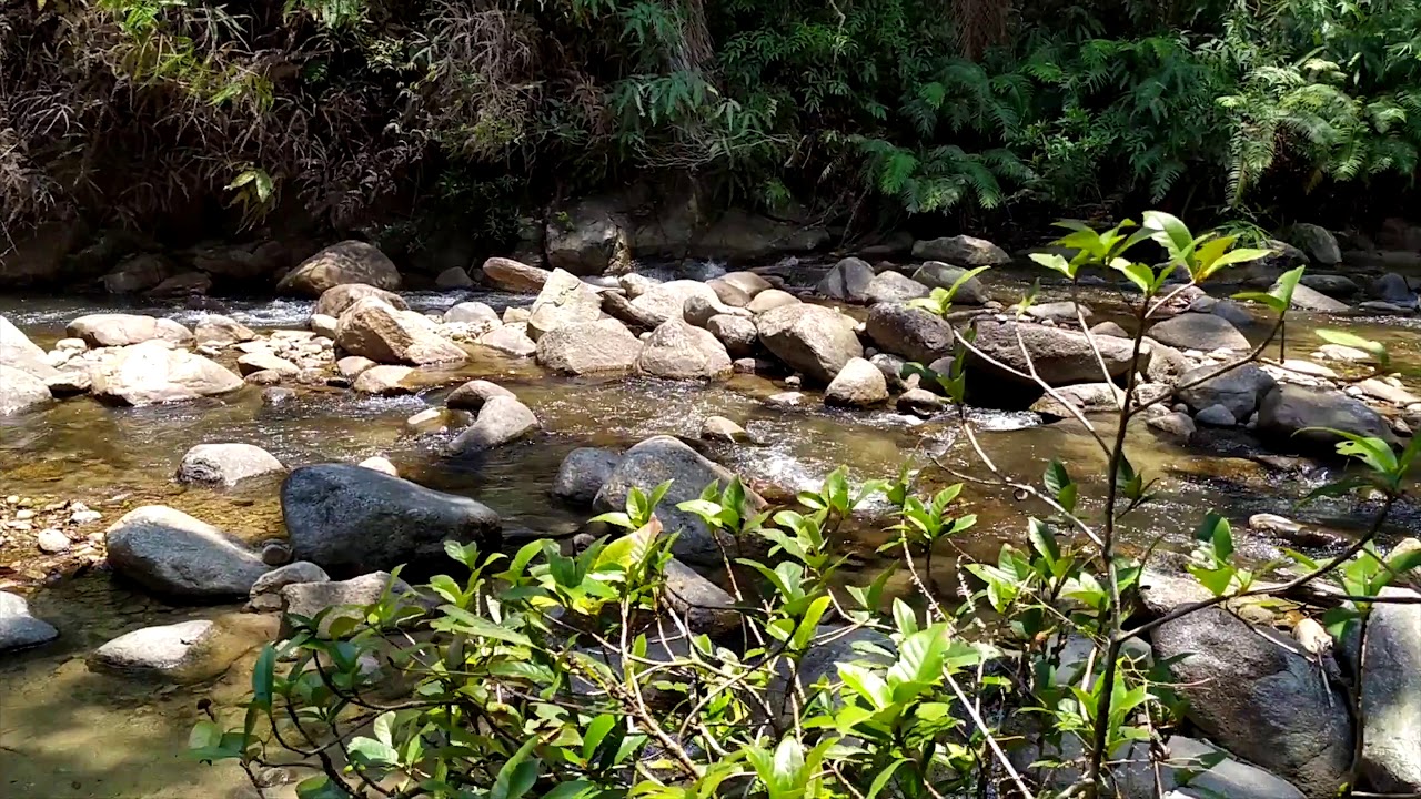 Sungai Chilling -Trail Alone