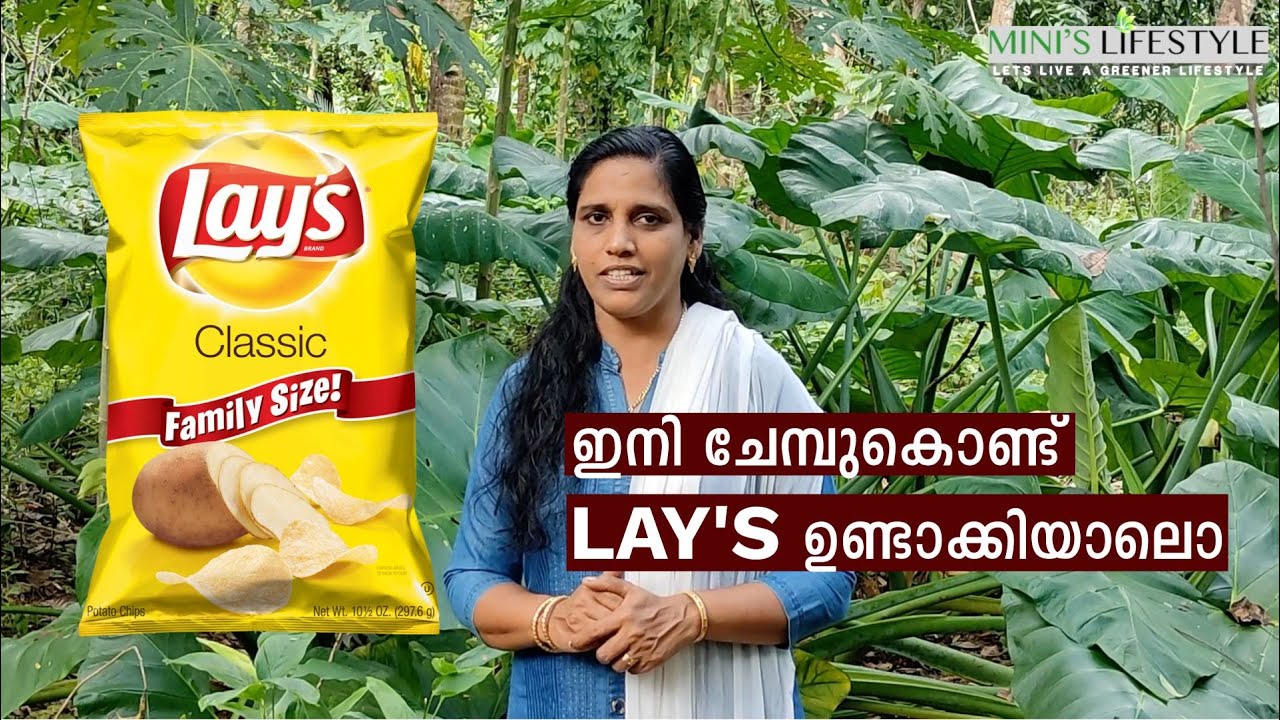 ഇനി Lays വീട്ടിൽ തന്നെ ഉണ്ടാക്കാം | Chembu Chips Recipe Malayalam