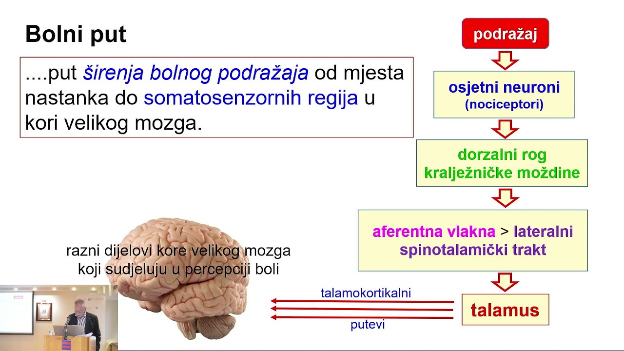 6. Petar Kes Bol u bolesnika s kroničnom bolešću bubrega