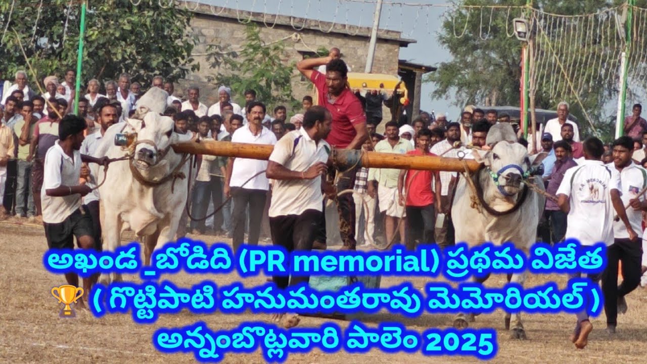 అఖండ_బోడిది(PR memorial ) ప్రథమ విజేత 🏆 అన్నంబొట్లవారి పాలెం 2025(గొట్టిపాటి హనుమంతరావు మెమోరియల్)