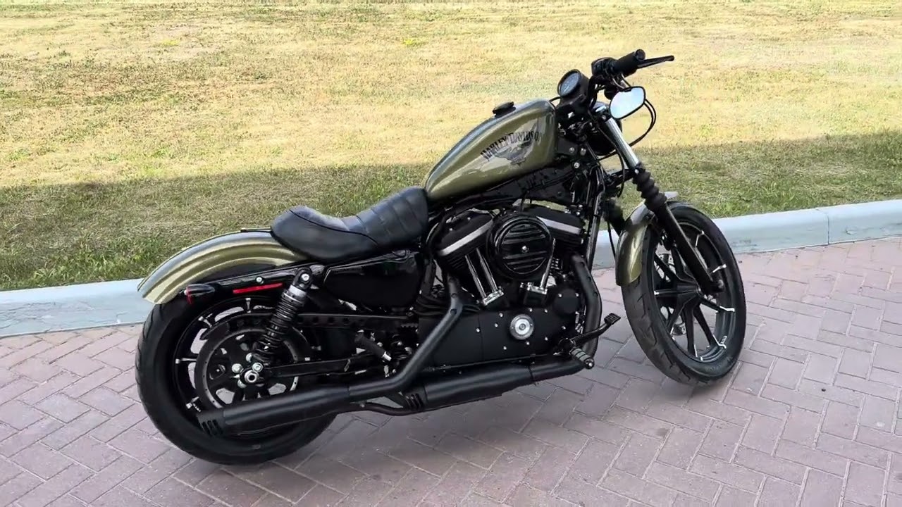Harley Davidson XL883 IRON (olivagold) 2