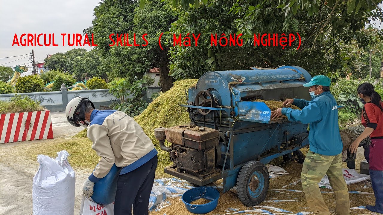Máy tuốt lúa (agricultural skills