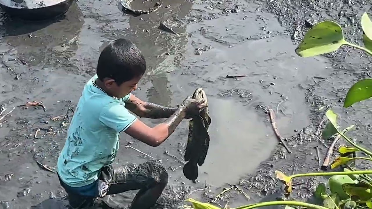 Giant Monster Carp Catch! Amazing Fishing Skills in the Village 🎣2026 #Fishing #Hok #video 