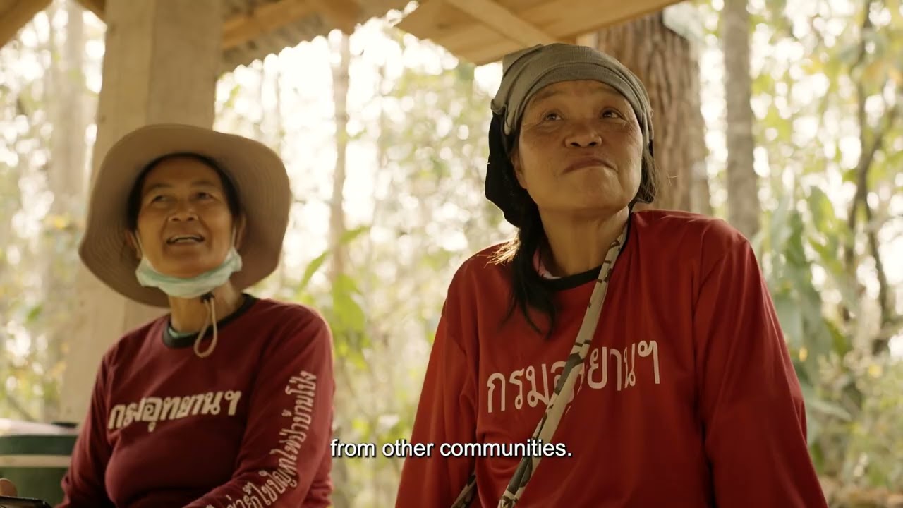 Thailand’s Fight to Save Its Forests: Fire Prevention and Sustainable Farming in Action