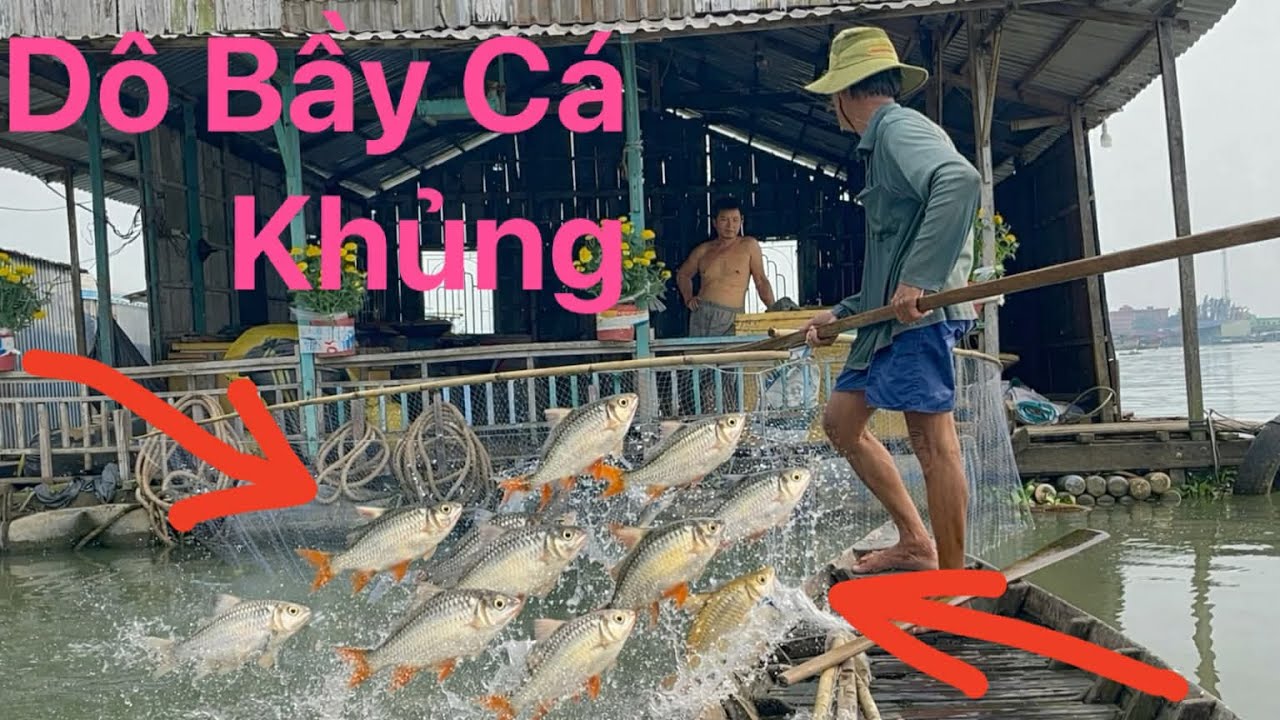 Một Ngày Xúc Cá Trắng Và Cái Kết.. Trúng Đậm Ngay Từ Đầu..!!