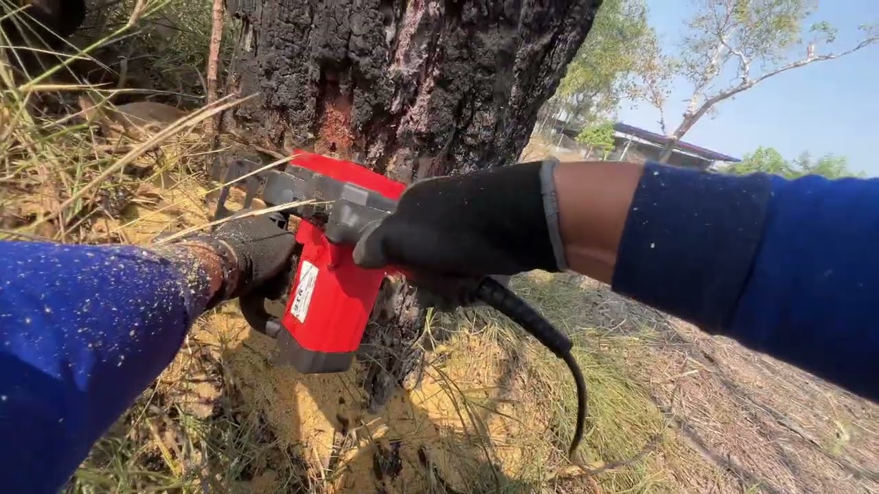 Rural Life | Cutting Wood by Hand 🌳 l Una MTD