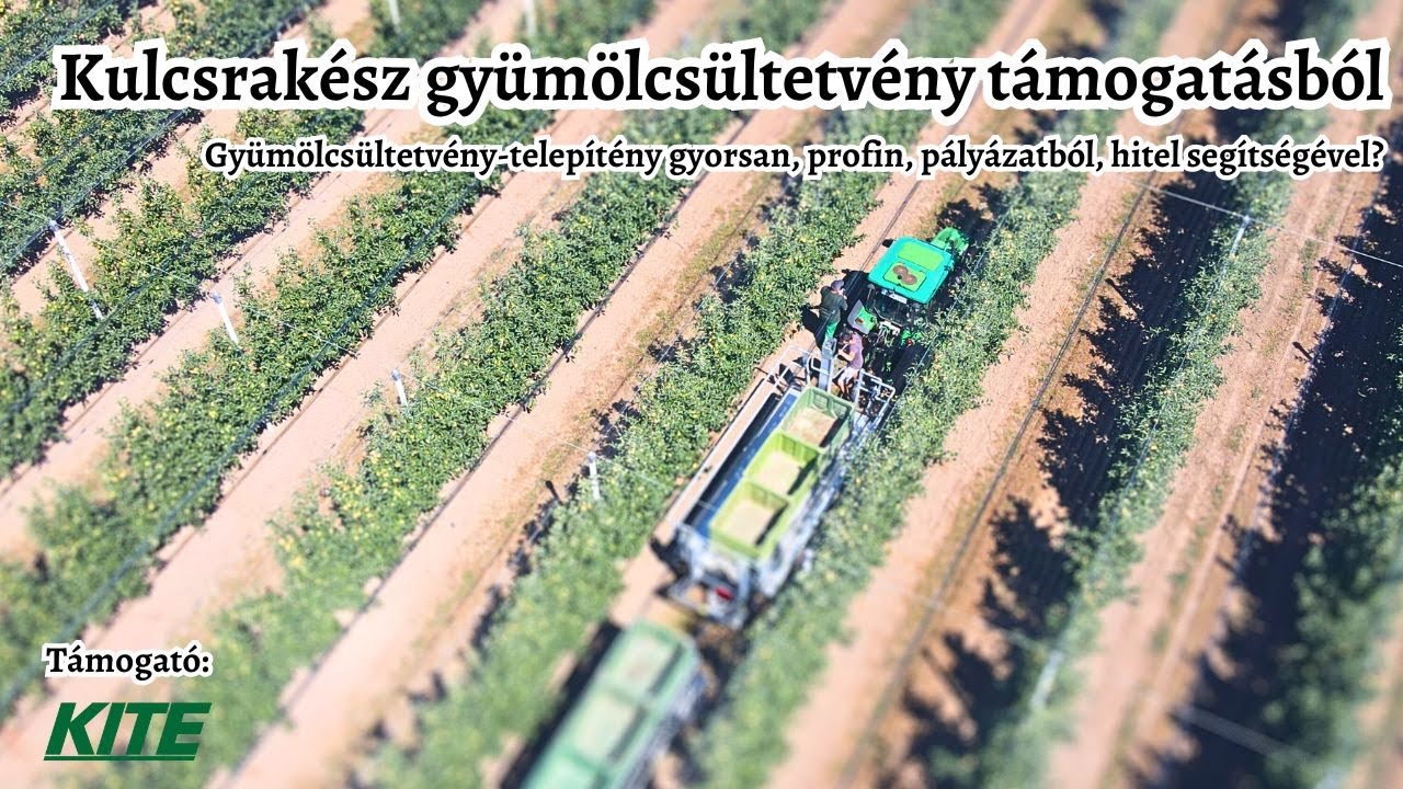 Kulcsrakész gyümölcsültetvény - ami ellenáll a jégnek | Akár támogatással és hitellel is telepíthető
