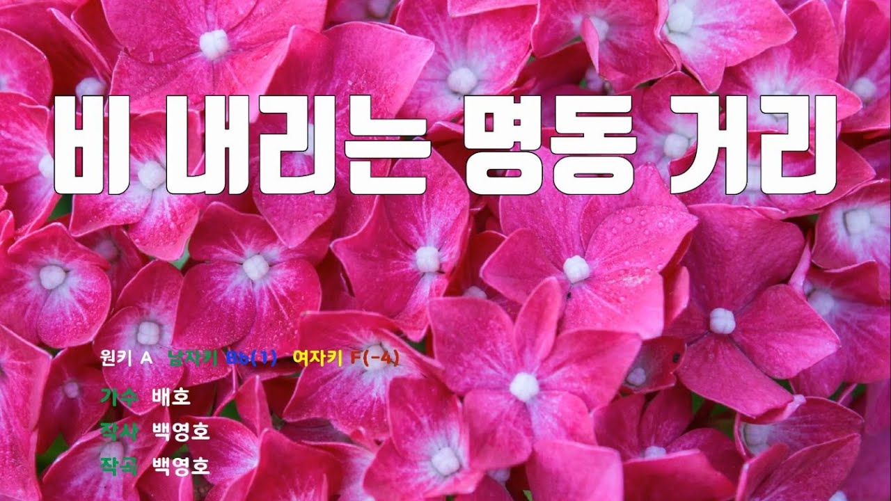 [은성반주기] 비내리는명동거리 - 배호 /MR/가사
