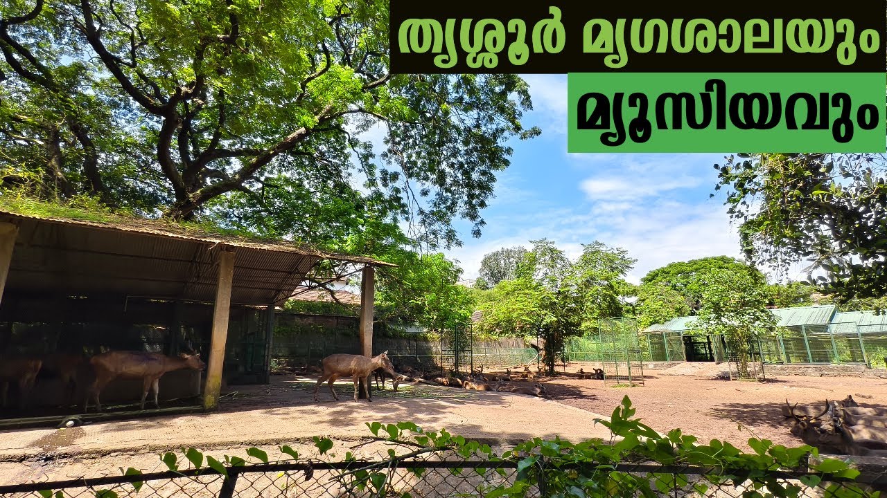 തൃശ്ശൂർ മൃഗശാലയും മ്യൂസിയവും |Thrissur Zoo complete tour|Top places to visit in Thrissur | Episode 1