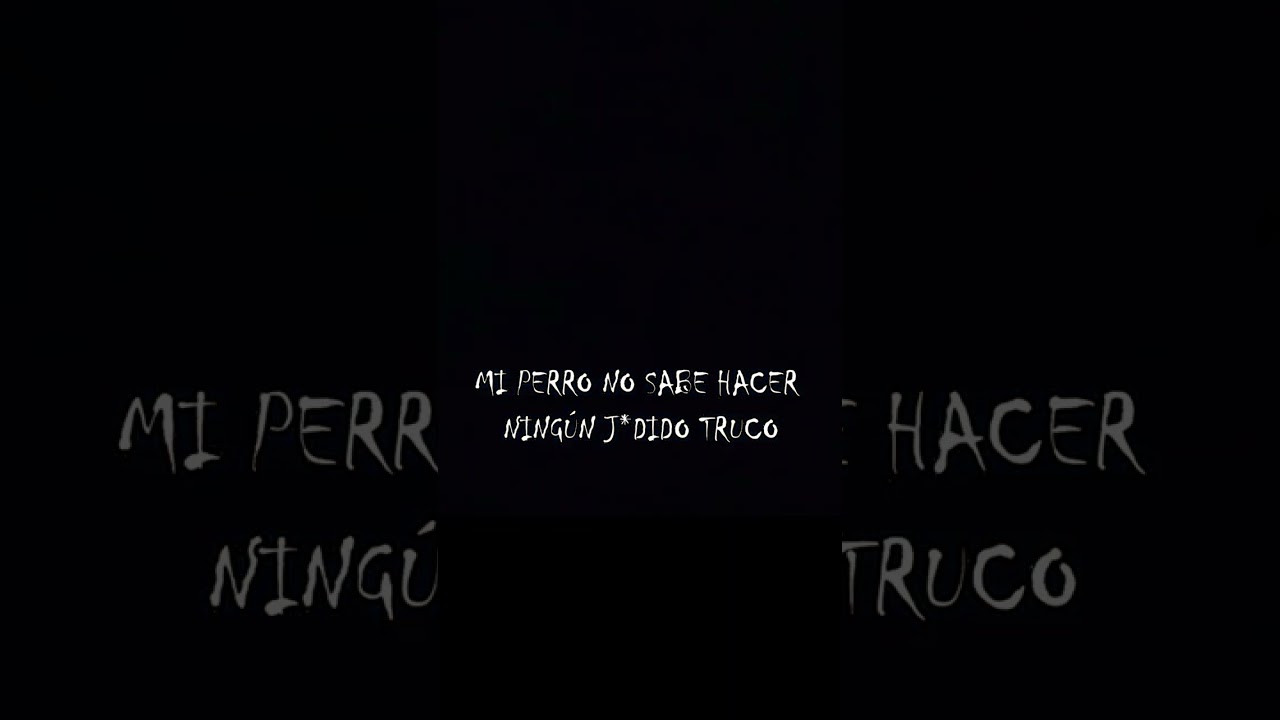 "Tú NO ERES mi perro" || 