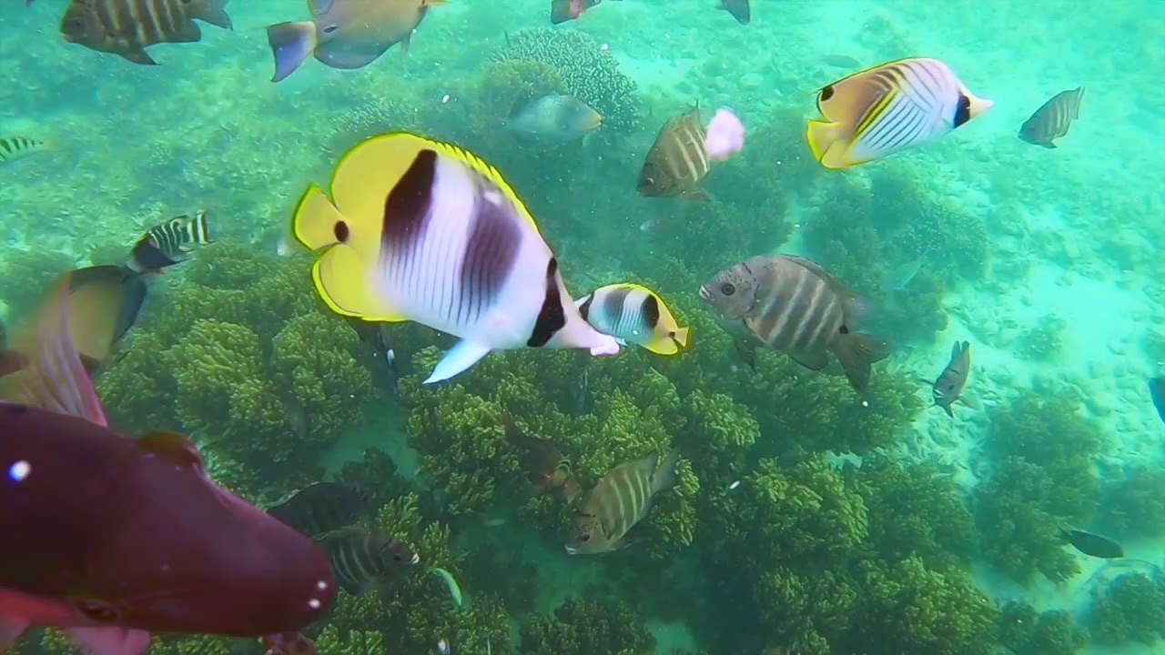 A Winter's Day in Guam