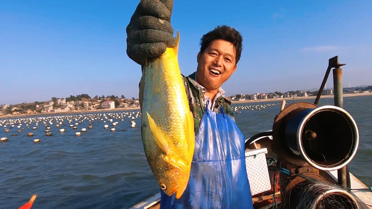 阿阳出海抓到“大金条”，平常都是几百一条，放到过年要发财了