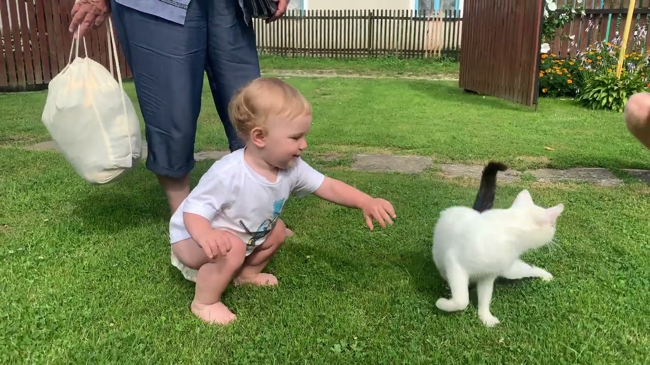 Приїхали до тьоті Ані. Ромка бігає по травʼяному килиму