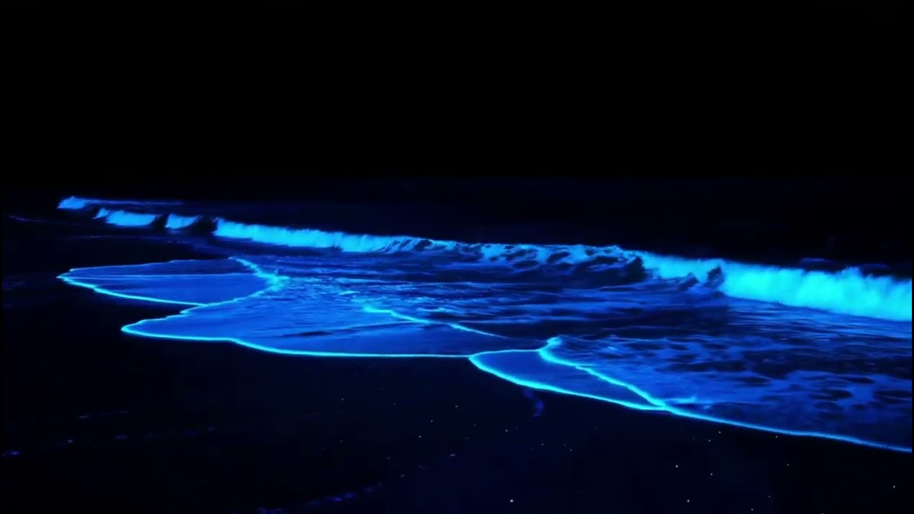 3.5 Hours of Bioluminescent Waves at Night for Sleep | Glowing Ocean Ambience 4K